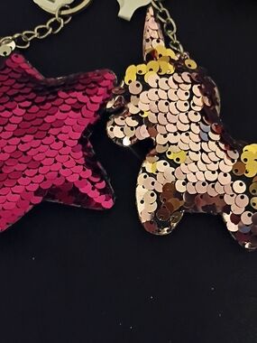 Pack of 2  key rings